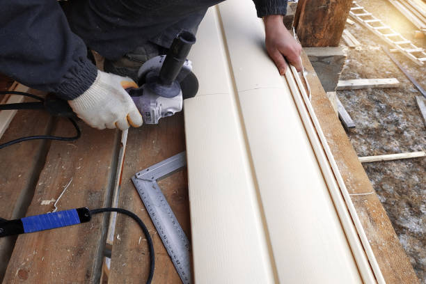 Best Vinyl Siding Installation  in Churubusco, IN